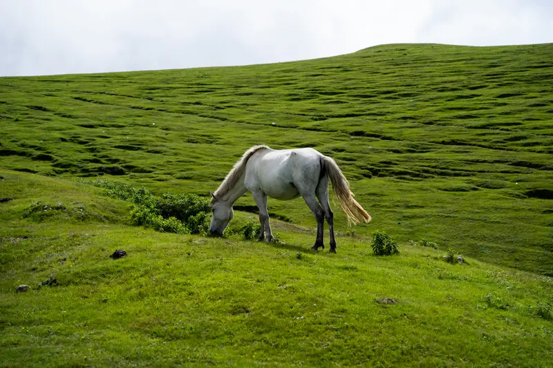 Sailung Nepal Travel Guide 2026: Best Time, Things to Do, How to Reach & Tips