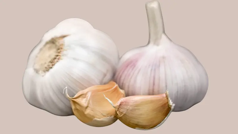 Benefits of Garlic