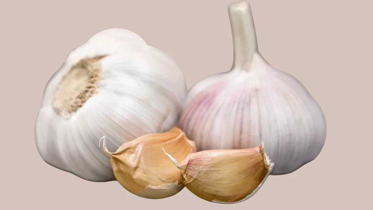 Benefits of Garlic