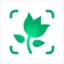 PictureThis logo