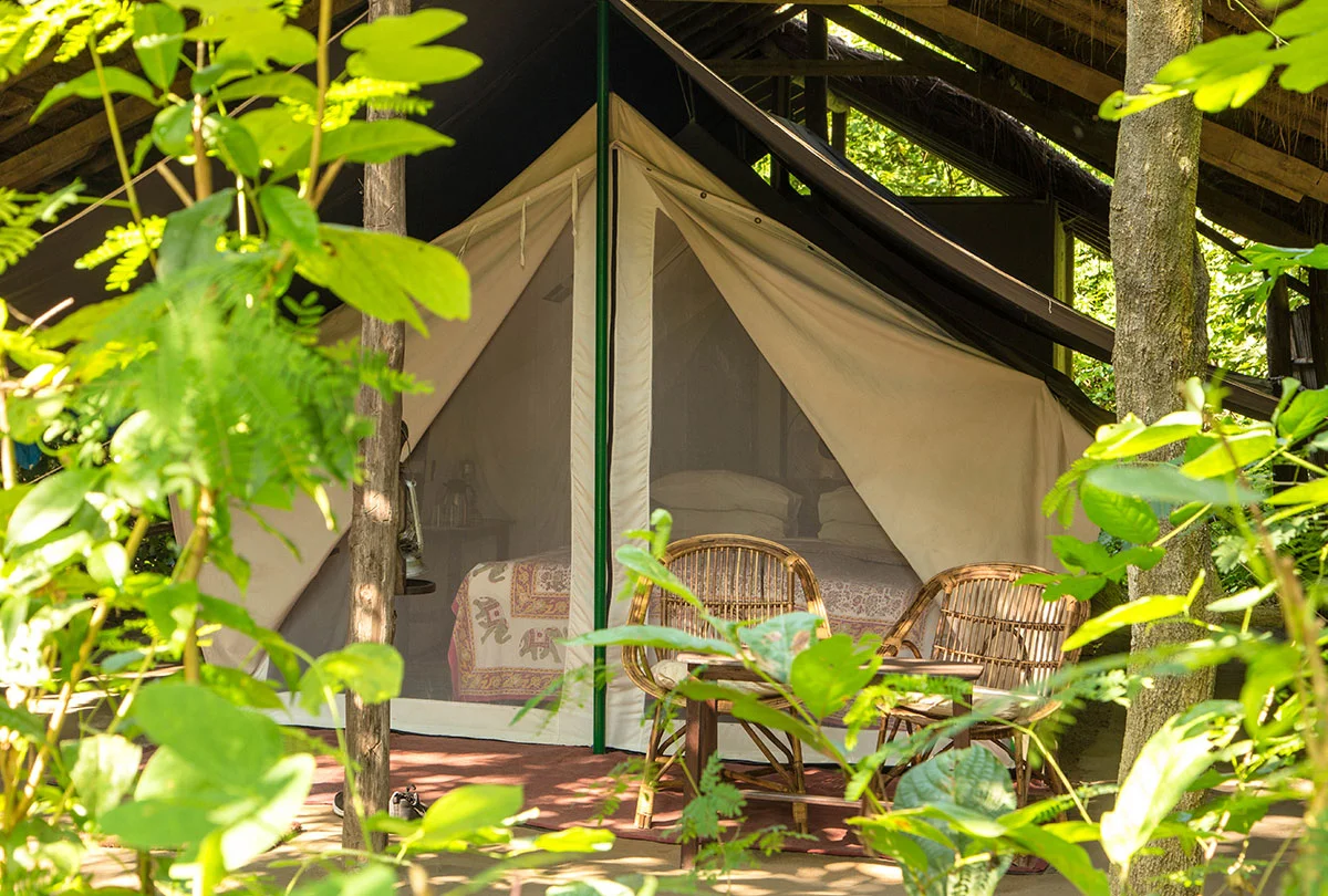 Tiger Tops Tharu Lodge
